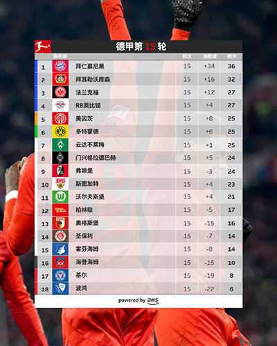 2024-25赛季德甲联赛第15轮积分榜综述